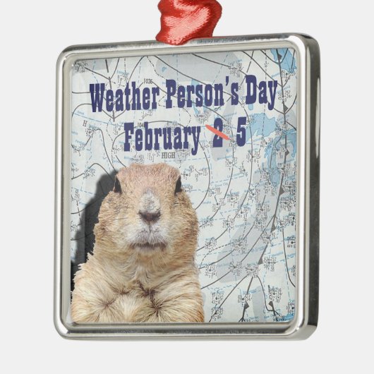 Nationale Weer Dag 5 Februari Metalen Ornament (Links)