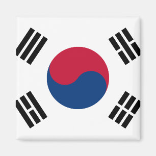 Nationale Wereldvlag Zuid-Korea Magneet