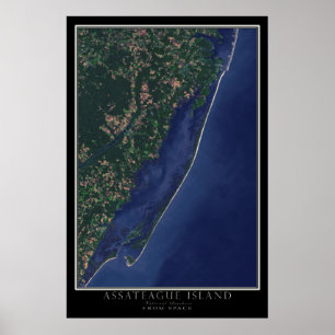 Nationale zee van het eiland Assateague uit de rui Poster