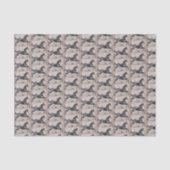 Native American Art Tissuepapier (Voorkant)