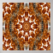 Native American Autumn.... Poster (Voorkant)