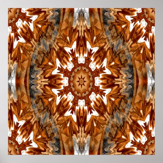 Native American Autumn.... Poster (Voorkant)