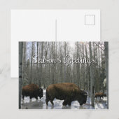 Native American Bizon Seizoensgroeten Ansichtkaart Feestdagenkaart (Voorkant / Achterkant)