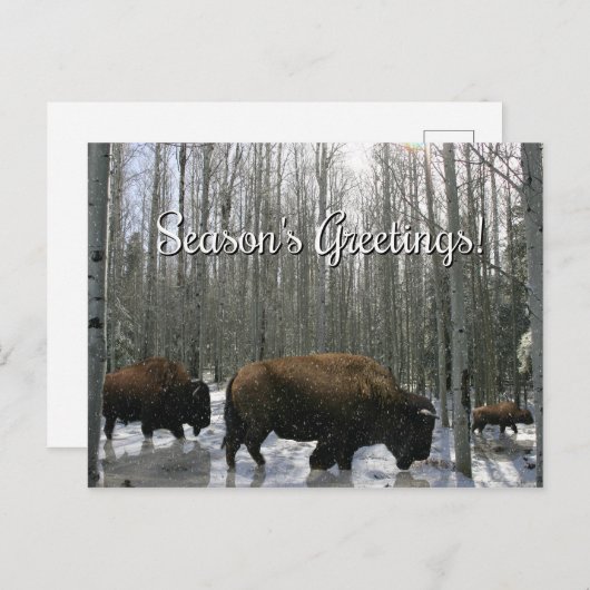 Native American Bizon Seizoensgroeten Ansichtkaart Feestdagenkaart (Voorkant / Achterkant)