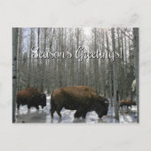Native American Bizon Seizoensgroeten Ansichtkaart Feestdagenkaart (Voorkant)