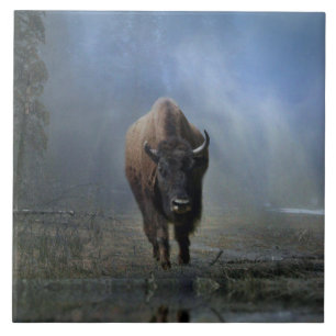 Native American Bufallo in the Mist Art Tegel Tegeltje