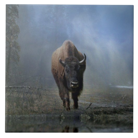 Native American Bufallo in the Mist Art Tegel Tegeltje (Voorkant)