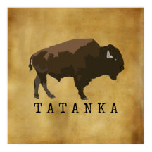 Native American Buffalo | Bison | Tatanka-tekening