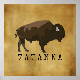 Native American Buffalo   Bison   Tatanka-tekening Poster