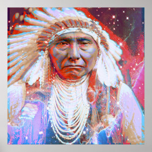 Native American Crazy Horse Poster
