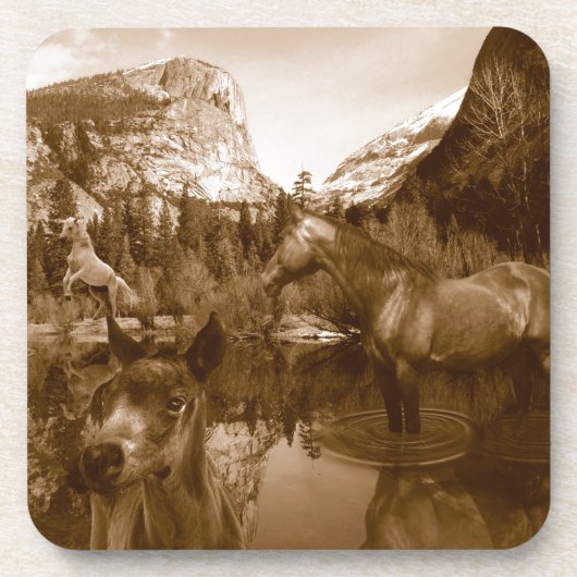 Native American Drankjes Onderzetter (Voorkant)