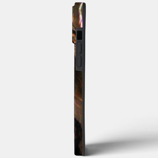 Native American Hoesje-Mate iPhone Case (Achterkant / Links)