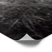 Native American Iroquois Poster (Hoek)