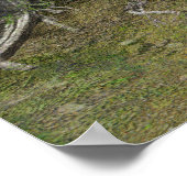 Native American Life Poster (Hoek)