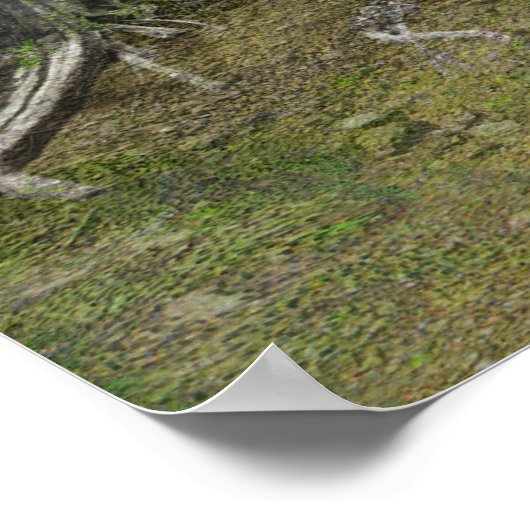 Native American Life Poster (Hoek)