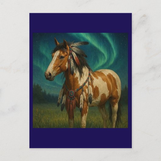 Native American Paint Horse Briefkaart - Hania (Voorkant)