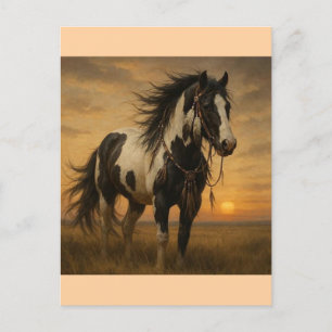 Native American Paint Horse Briefkaart - Kangee