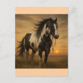 Native American Paint Horse Briefkaart - Kangee (Voorkant)