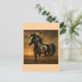 Native American Paint Horse Briefkaart - Koko (Staand voorkant)