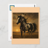 Native American Paint Horse Briefkaart - Koko (Voorkant / Achterkant)