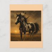 Native American Paint Horse Briefkaart - Koko (Voorkant)