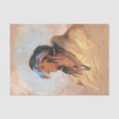 Native American  Painting White Plume Tissuepapier (Voorkant)