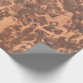 Native American Petroglyphs Rochester Panel Cadeaupapier (Hoek)