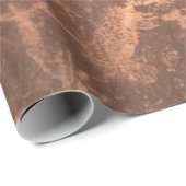 Native American Petroglyphs Rochester Panel Cadeaupapier (Rol Hoek)