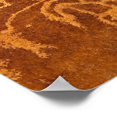 Native American petroglyphs, Rochester Panel, Poster (Hoek)