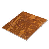 Native American petroglyphs, Rochester Panel, Tegeltje (Zijkant)