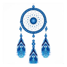 Native American Poster