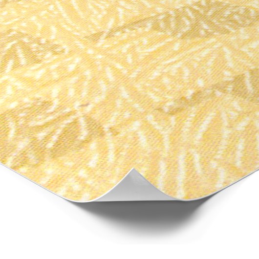 Native American Poster (Hoek)