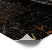 Native American Poster (Hoek)