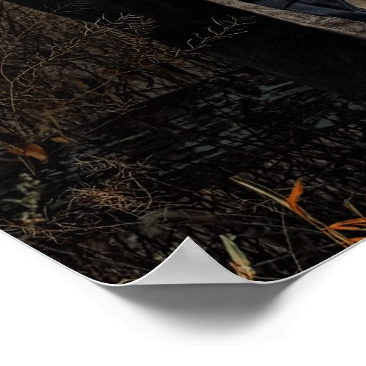 Native American Poster (Hoek)