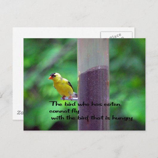 Native American Proverb Briefkaart (Voorkant / Achterkant)