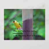 Native American Proverb Briefkaart (Voorkant)