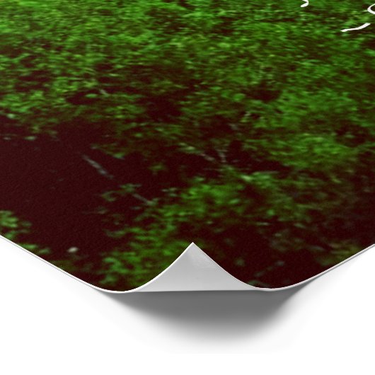 Native American Proverb Poster (Hoek)