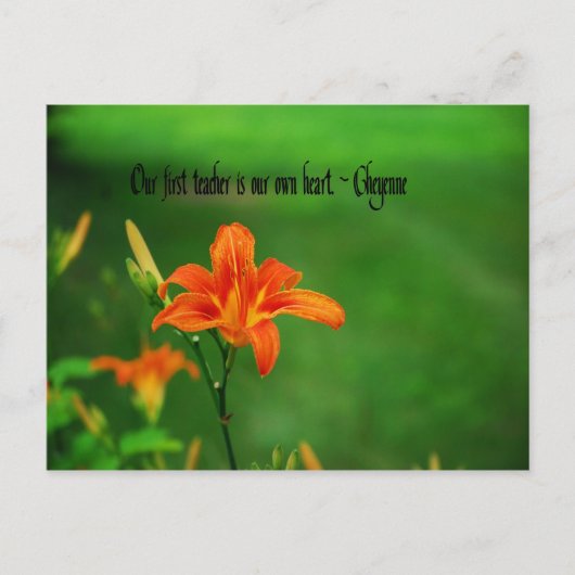 Native American Quotes Briefkaart (Voorkant)