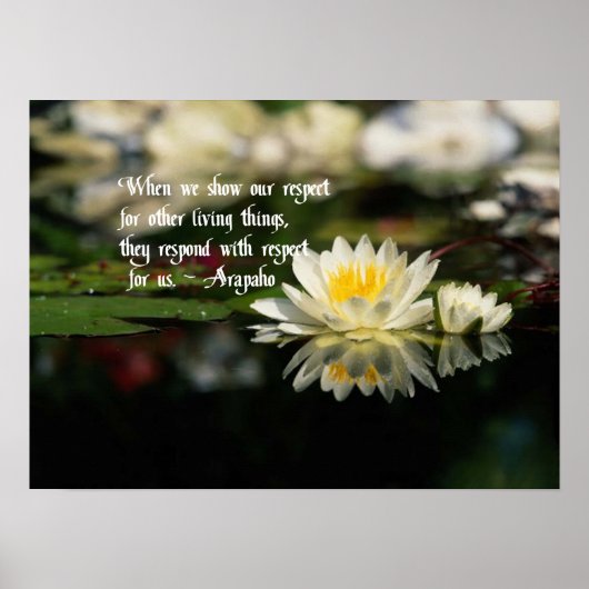 Native American Quotes Poster (Voorkant)