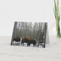 Native American Season's Greetings Buffalo Kaart