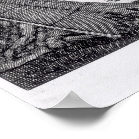 Native American Shaman Poster (Hoek)