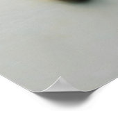 Native American Spirit Poster (Hoek)