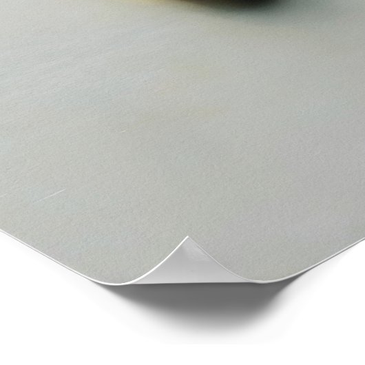 Native American Spirit Poster (Hoek)