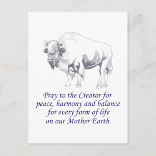 Native American Symbolisme Briefkaart