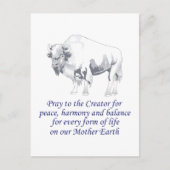 Native American Symbolisme Briefkaart (Voorkant)