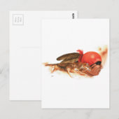 Native American Wolf Clan Cherokee Indian Warrior Briefkaart (Voorkant / Achterkant)