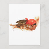 Native American Wolf Clan Cherokee Indian Warrior Briefkaart (Voorkant)