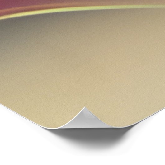 Native American Woman Poster (Hoek)