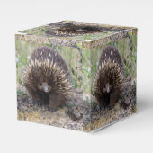 Native Australian Wild Echidna Foto Bedankdoosjes (Voorkant Zijde)