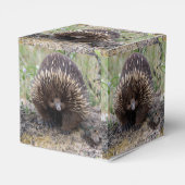 Native Australian Wild Echidna Foto Bedankdoosjes (Achterkant)